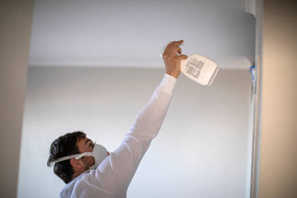 Best Attic Mold Remediation in Forks, WA